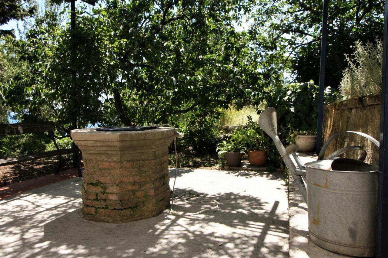 Panoramic Apartment