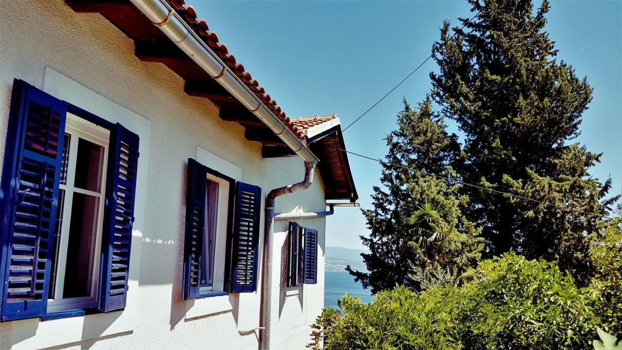 Panoramic