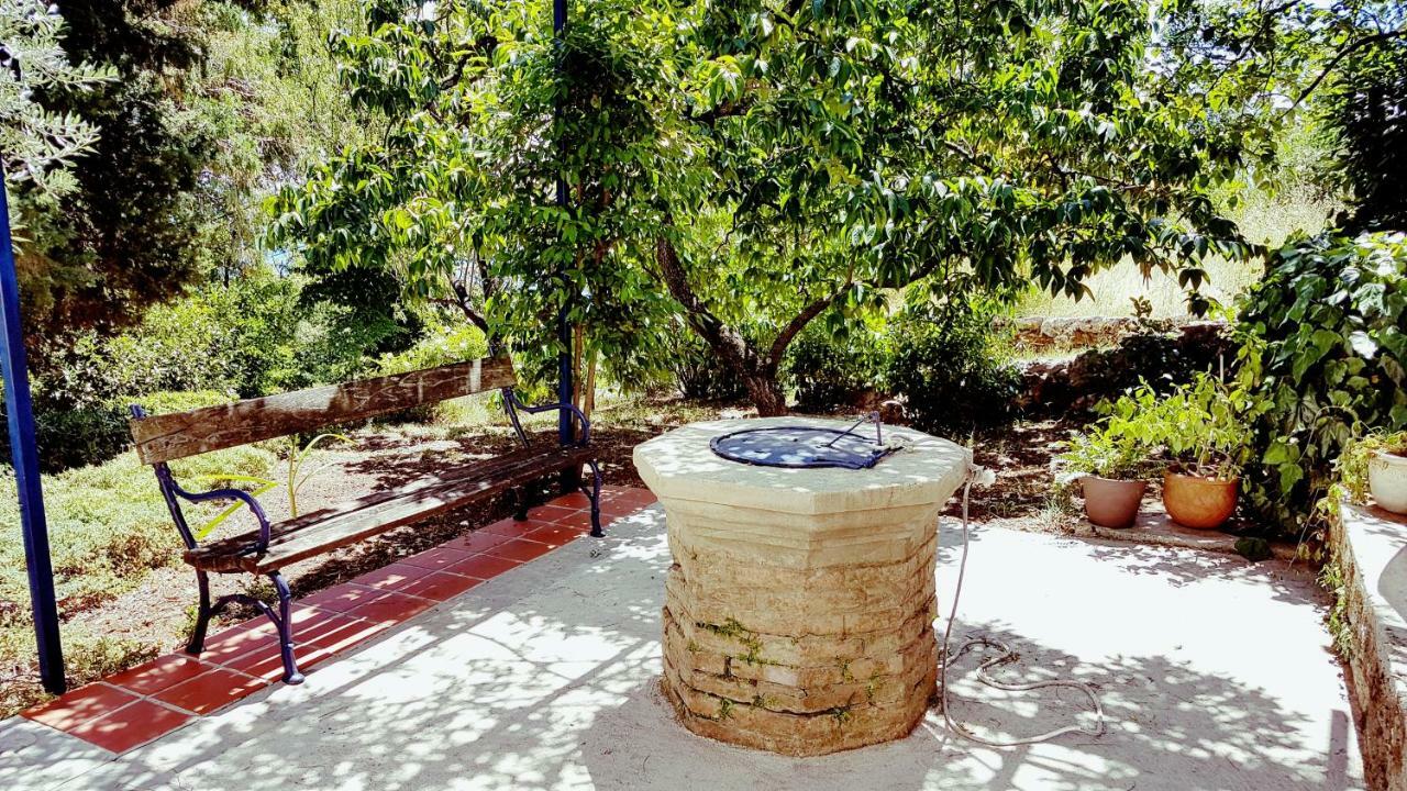 Panoramic *