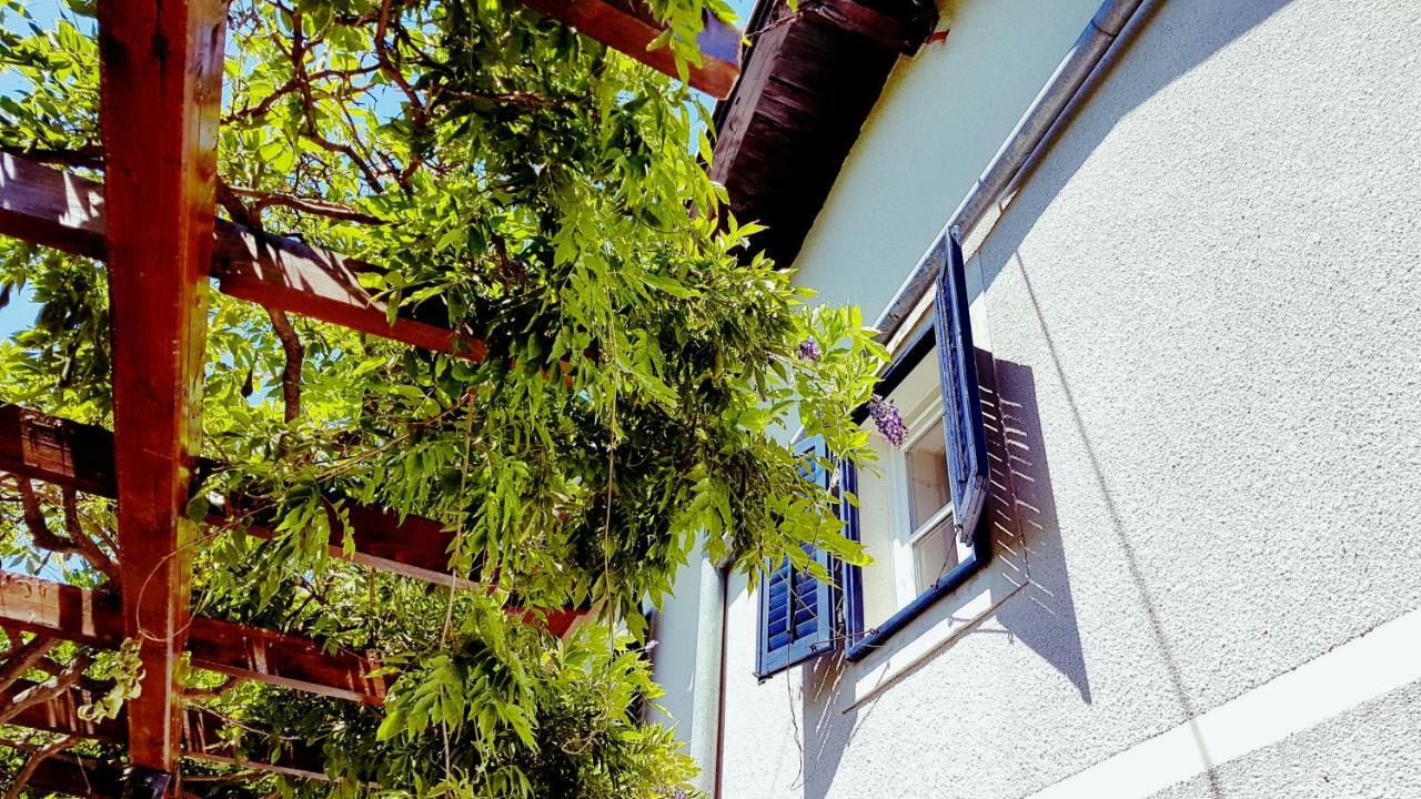 Apartment Panoramic *