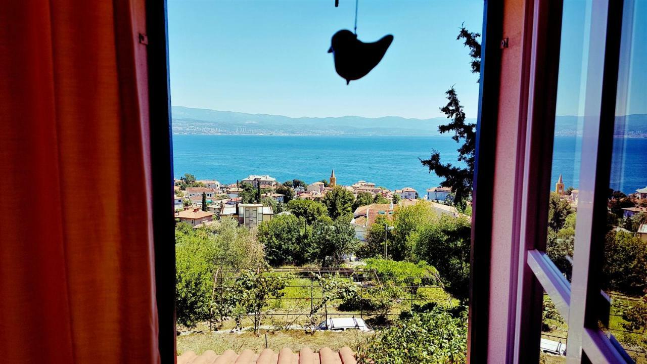 Panoramic Apartment *