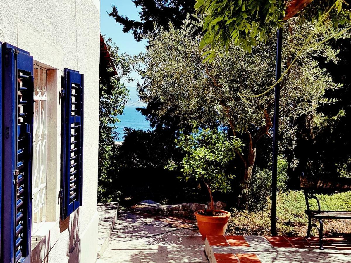 Panoramic * Lovran